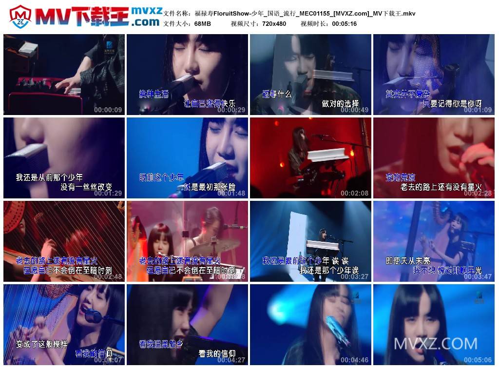 福禄寿FloruitShow-少年_国语_流行_MEC01155